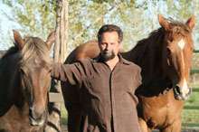 Leading Abused Horses Back to Life