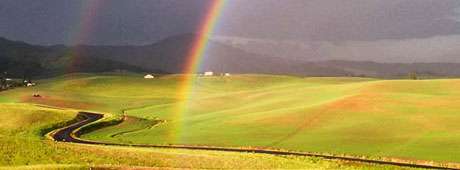 Leaving the beauties of the Palouse isn't easy for the author. Even so, her intense longing for the place begins to transform into affection for a new Idaho home.