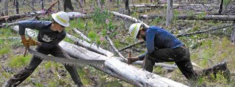 A longtime conservationist recounts eight hardworking days with mostly young volunteers clearing trail in the Frank Church–River of No Return Wilderness.