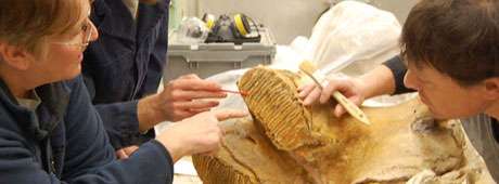 Racing against the impending rise of the American Falls Reservoir water levels, researchers uncover a seventy-thousand-year-old mammoth fossil.