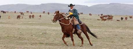 Down a piece from the author's Owyhee County home, she helps out herding cattle for the state's oldest operating family ranch.