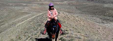 Coming to the high desert country of Owyhee County to visit fellow horseback riders, the author decided to make Oreana her home.