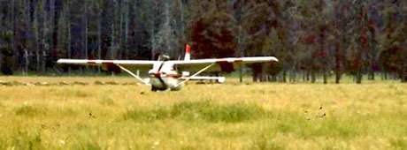 On a ranch deep in the Nez Perce National Forest, the post dropped by plane was a welcome gift—if you could find the bag.