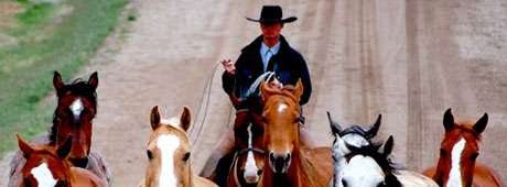 Back in the 1950s, two young teenagers are tasked with bringing a herd of horses from one side of Hells Canyon to the other by river.