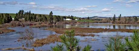 Across northern Idaho this spring, the author's far-flung family was among many who endured torrential floodwaters.