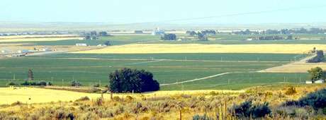 Named after the garden in the Bible, this town overcame irrigation setbacks in its early years to produce verdant farms.