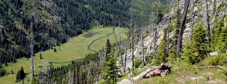 A longtime environmentalist recalls visits to a favored central Idaho drainage shortly after, and then long after, a major wildfire.