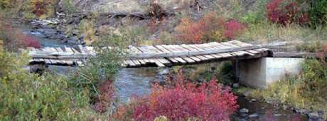 A sixty-two-year-old hiker recollects her 85.7-mile trek along the Weiser River National Recreation Trail.