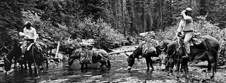 When a muleskinner is bitten by a rattlesnake on the Salmon River Canyon's rim, it's a long hike to get help.