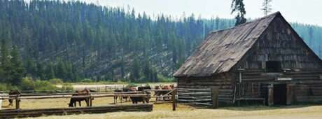 A ragtime pianist describes good fun and good people in this community deep in the Nez Perce National Forest.