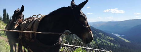 A young man who has been packing supplies into the backcountry with family all his life captures its allure. 