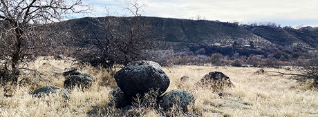 At Niagara Springs in the Snake River Canyon, the author imagines life during the ancient Bonneville Flood. 