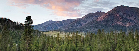 At a writing retreat amid the Sawooth Range, the author lights a fire under his storytelling urge.