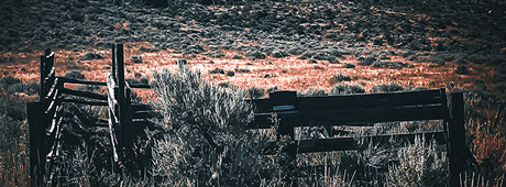 The author was raised in this southeastern Idaho outpost, where just getting to the barn in winter could be a feat in itself.